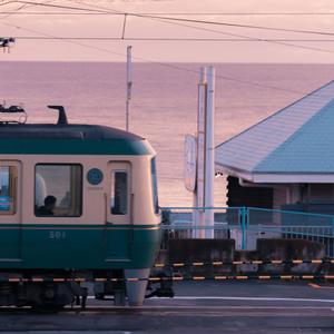女性生殖器官图小妹妹
