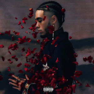 女性生殖器官图小妹妹
