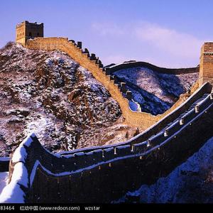 女性生殖器官图小妹妹
